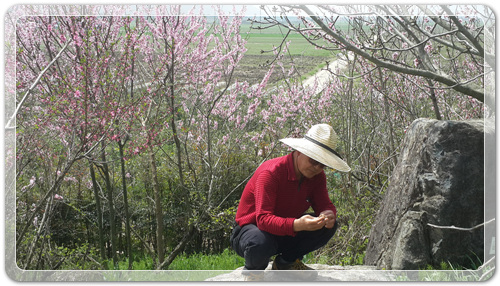 d8fee6a959ca88872bdae7de7de5ec91_1460202