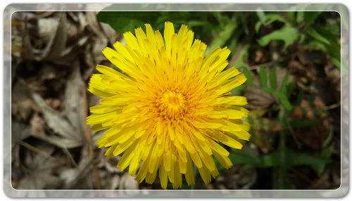 d8fee6a959ca88872bdae7de7de5ec91_1460202