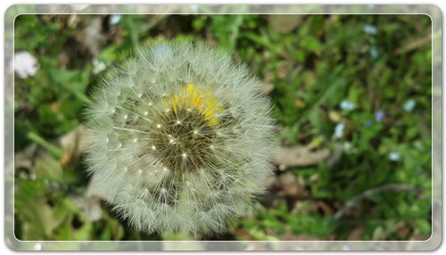 d8fee6a959ca88872bdae7de7de5ec91_1460202