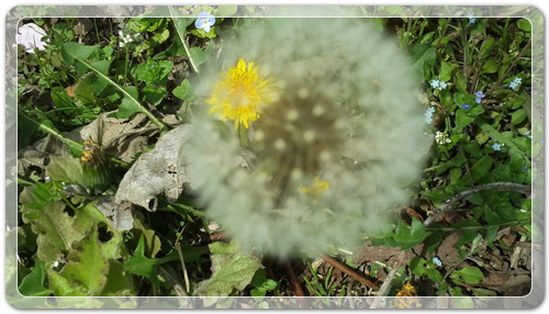 d8fee6a959ca88872bdae7de7de5ec91_1460202