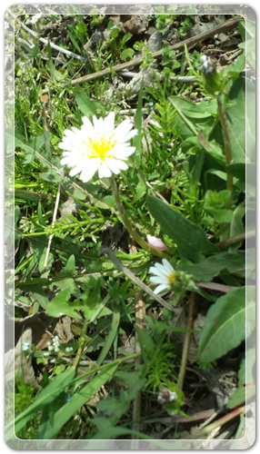 d8fee6a959ca88872bdae7de7de5ec91_1460202