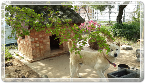 d8fee6a959ca88872bdae7de7de5ec91_1460202