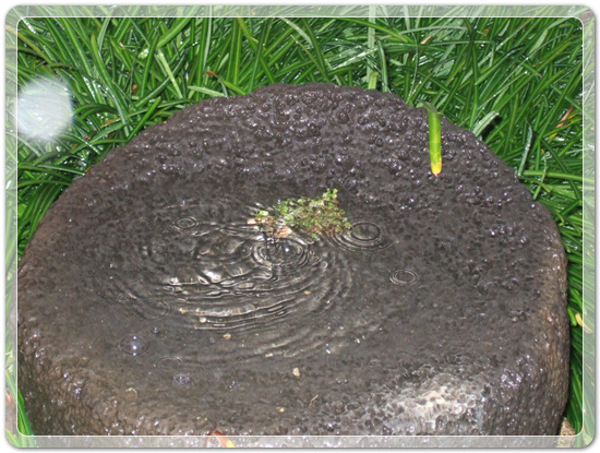 dc137dcb6276177a468d66de499ba4fa_1459675