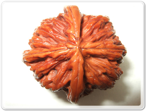 0ad3369be08e5732b2e7b02643030c8e_1462778