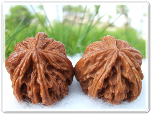 0ad3369be08e5732b2e7b02643030c8e_1462779