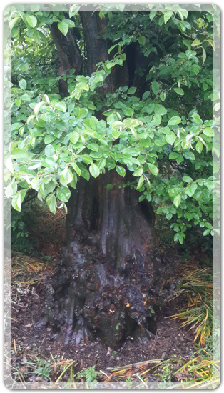 21b5354ddeaf17aa9aa91f94cec6cb87_1462888