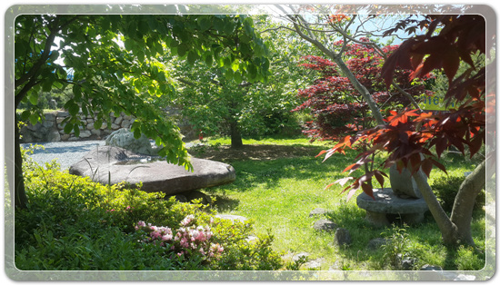 238eb92caf3d3e12d3513f429c17806f_1463570