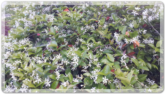 238eb92caf3d3e12d3513f429c17806f_1463571