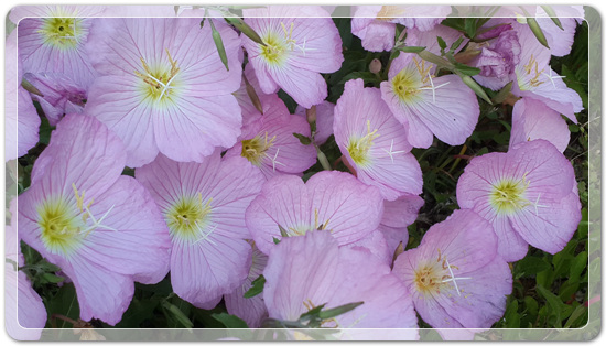 238eb92caf3d3e12d3513f429c17806f_1463571