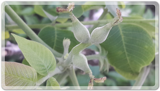 238eb92caf3d3e12d3513f429c17806f_1463571