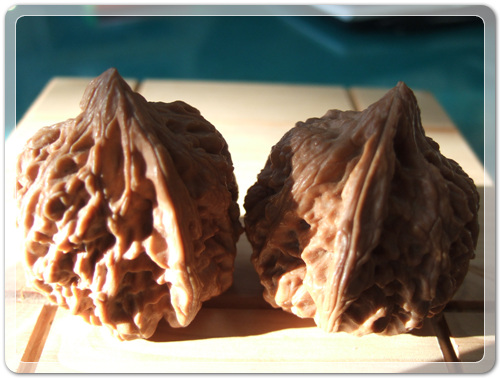 2e33028827aeb3c5f4640b2d20cb3a6b_1463405