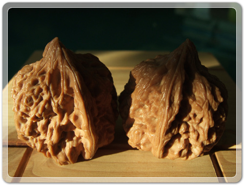 2e33028827aeb3c5f4640b2d20cb3a6b_1463405