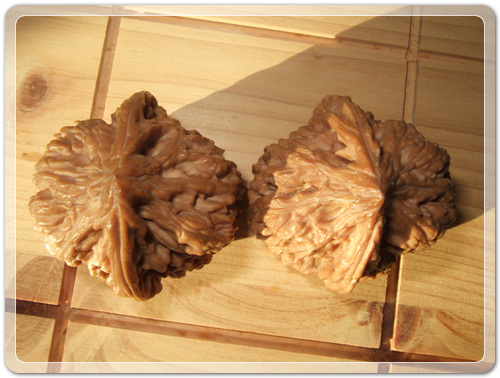 2e33028827aeb3c5f4640b2d20cb3a6b_1463405