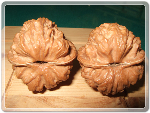 2e33028827aeb3c5f4640b2d20cb3a6b_1463405