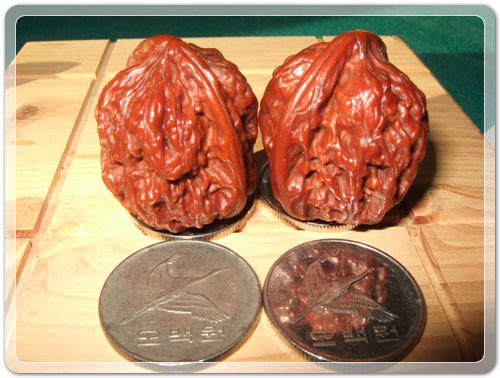 2e33028827aeb3c5f4640b2d20cb3a6b_1463406