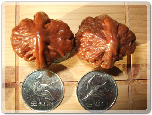 2e33028827aeb3c5f4640b2d20cb3a6b_1463406