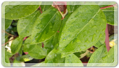 7e3e4db38a7213d0f4c38020349e283c_1464172