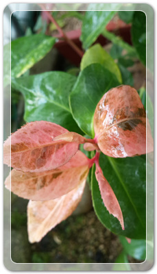 7e3e4db38a7213d0f4c38020349e283c_1464172