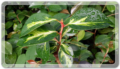 7e3e4db38a7213d0f4c38020349e283c_1464172