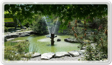 8cb631c8c8376444e5ed263095ad26d1_1462097