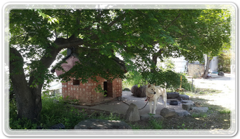 8cb631c8c8376444e5ed263095ad26d1_1462097