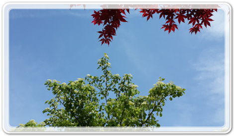 8cb631c8c8376444e5ed263095ad26d1_1462097