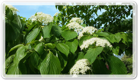 8cb631c8c8376444e5ed263095ad26d1_1462097