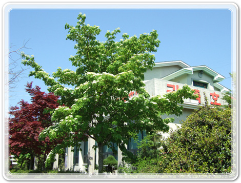 8cb631c8c8376444e5ed263095ad26d1_1462097