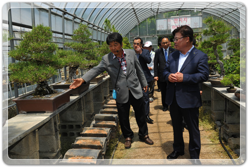 8e13d5d15c4f35969e6a9d64bfb90d61_1463062