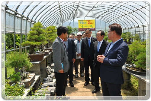 8e13d5d15c4f35969e6a9d64bfb90d61_1463062