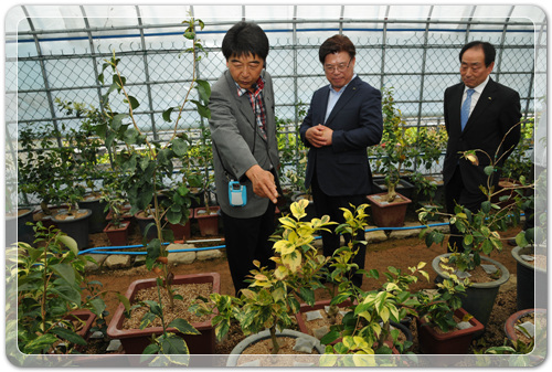 8e13d5d15c4f35969e6a9d64bfb90d61_1463062