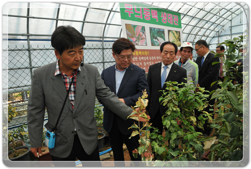 8e13d5d15c4f35969e6a9d64bfb90d61_1463062