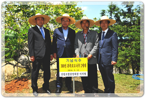 8e13d5d15c4f35969e6a9d64bfb90d61_1463062