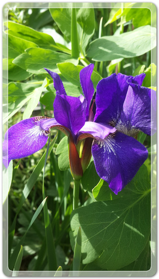 905774942380d2cc381b455af02bab48_1462714