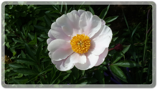 905774942380d2cc381b455af02bab48_1462714