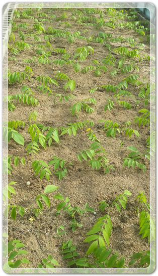 905774942380d2cc381b455af02bab48_1462714