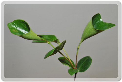 905774942380d2cc381b455af02bab48_1462716