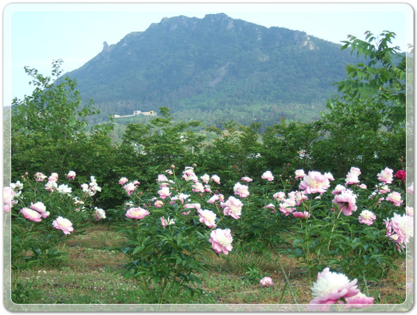 a609509fa4cd595add3134f0b2f8fb32_1463140