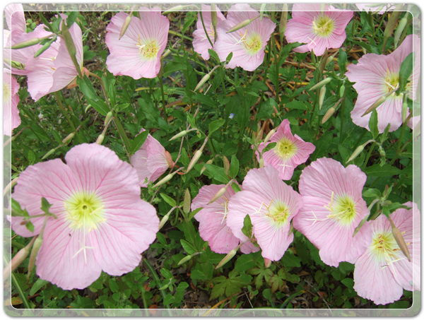 a609509fa4cd595add3134f0b2f8fb32_1463140