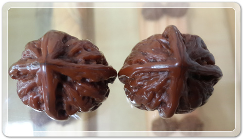 a7e5d69f4124fa8a2923c581da7713dd_1464268