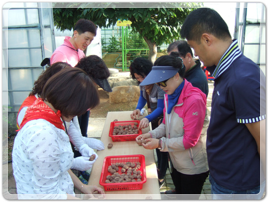 c9605de301cbc769055d3c978d7db885_1463741