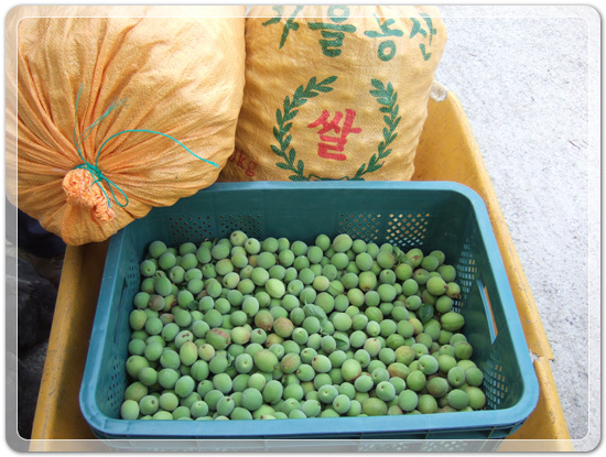 c9605de301cbc769055d3c978d7db885_1463741