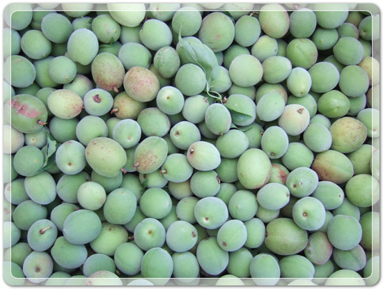 c9605de301cbc769055d3c978d7db885_1463741