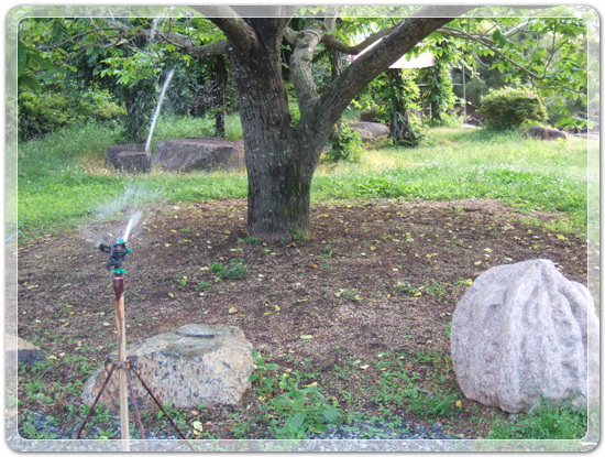 c9605de301cbc769055d3c978d7db885_1463741