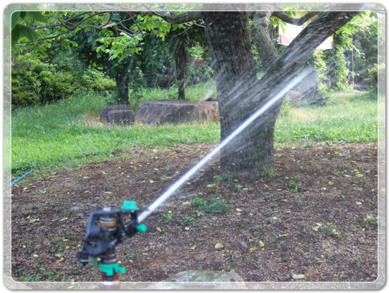 c9605de301cbc769055d3c978d7db885_1463741