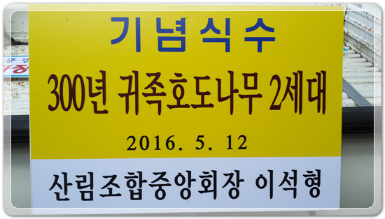 ced6d22443a9a04e66c6f19c21460f81_1462973