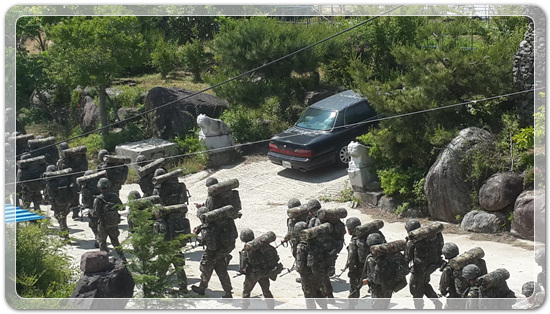 d4de9cea9293e8d628a18575cfae364c_1463660