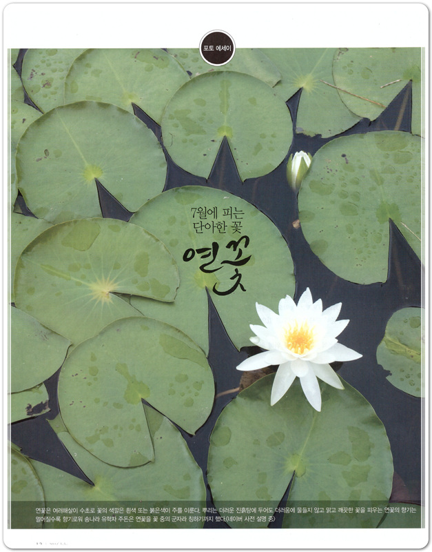 08b8ec5b011e98e4c1cbdab016162fac_1467205