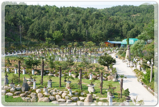 09ce7f2815f8f4d85670955211a0ad21_1467120