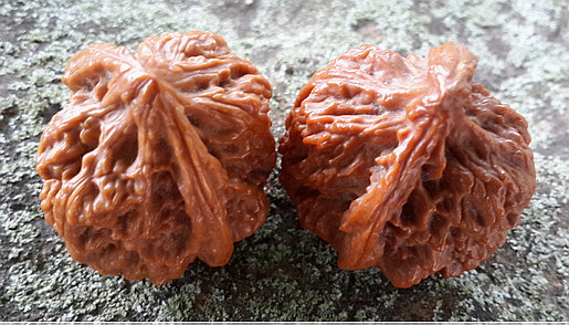 1336e502aaafc5583add64c754814487_1465910